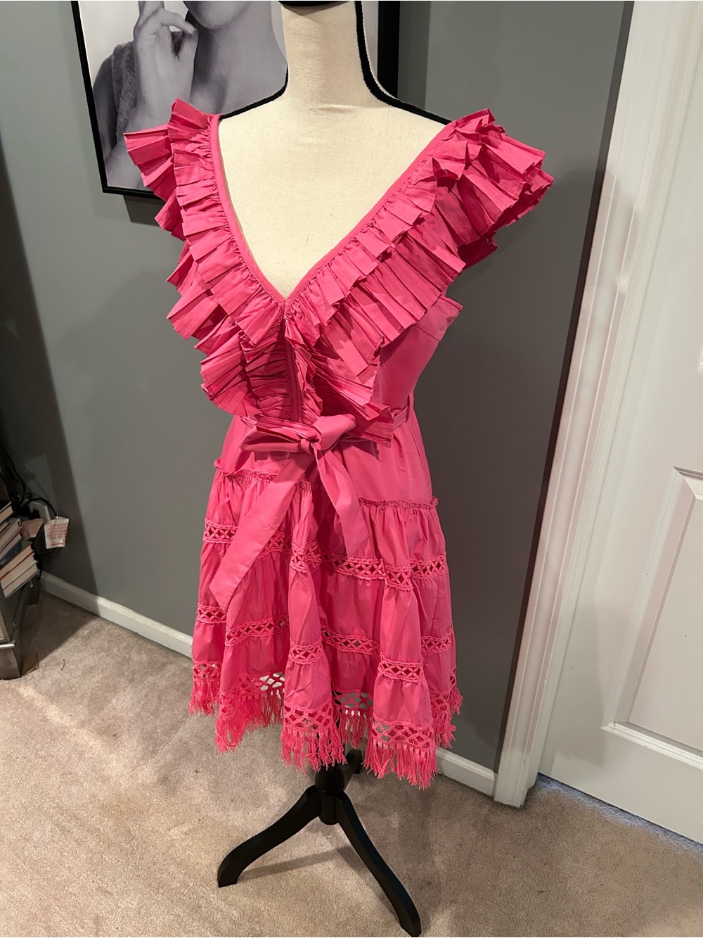 Pink Ruffled V-Neck Mini Dress - Picture 5 of 9